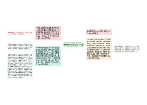 胰岛素的生物学作用