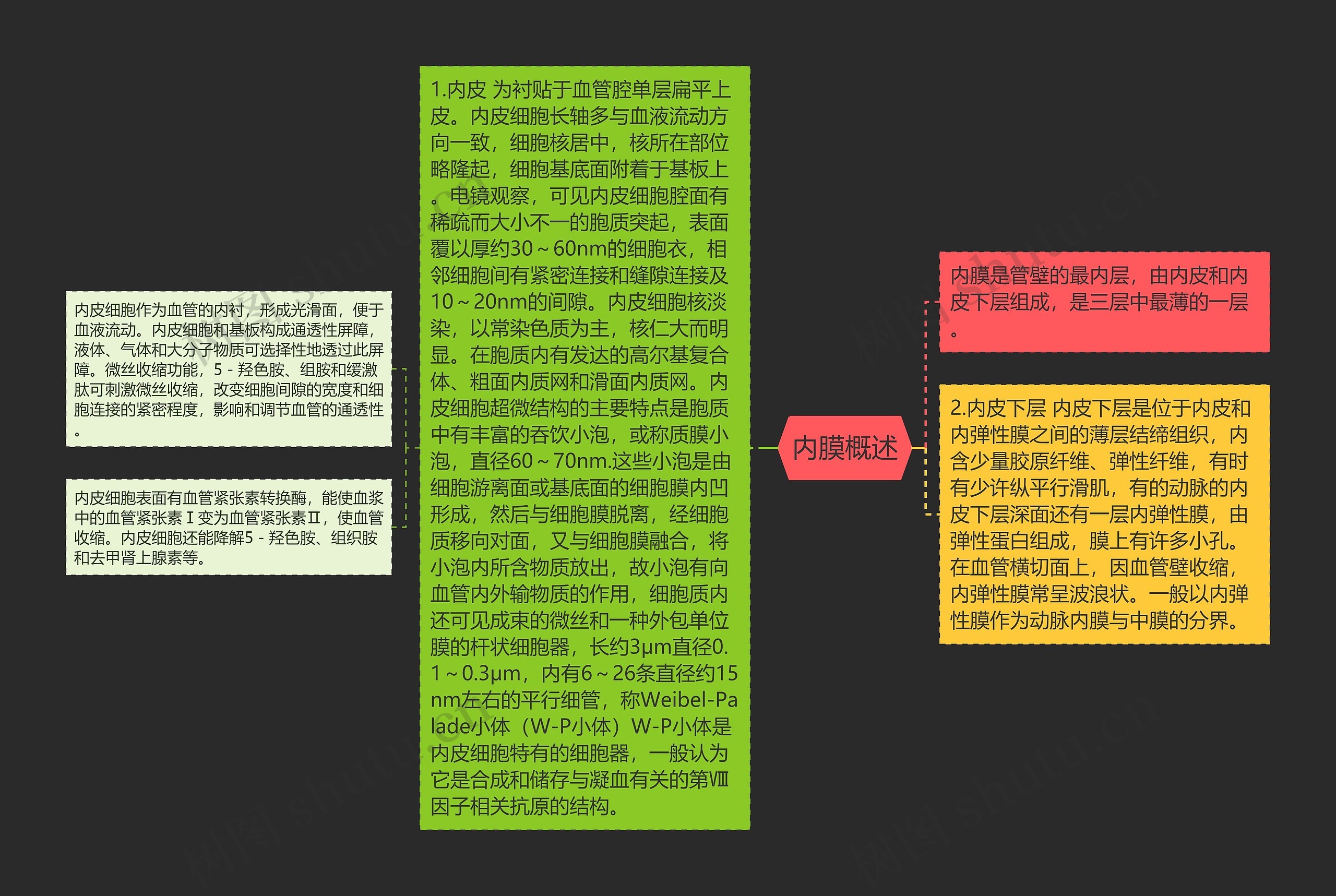 内膜概述思维导图