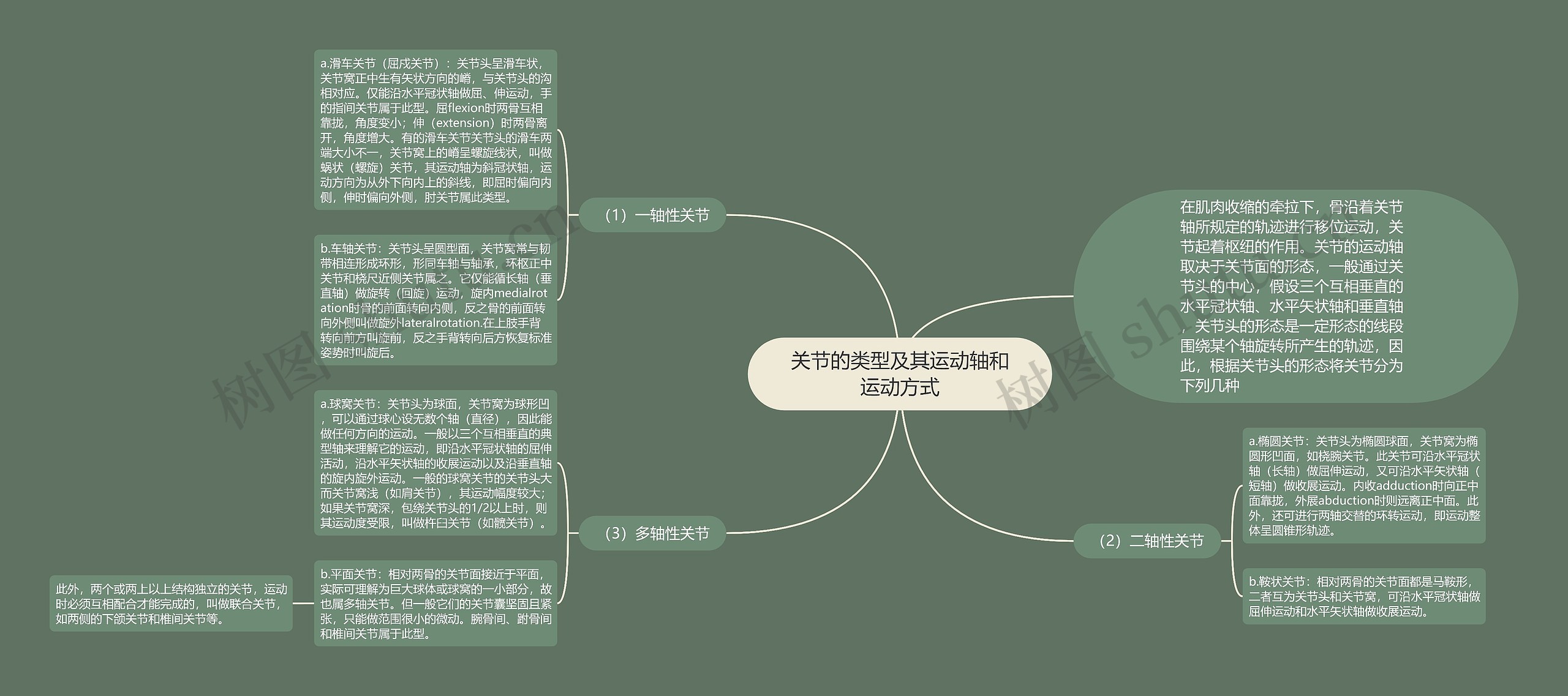 关节的类型及其运动轴和运动方式