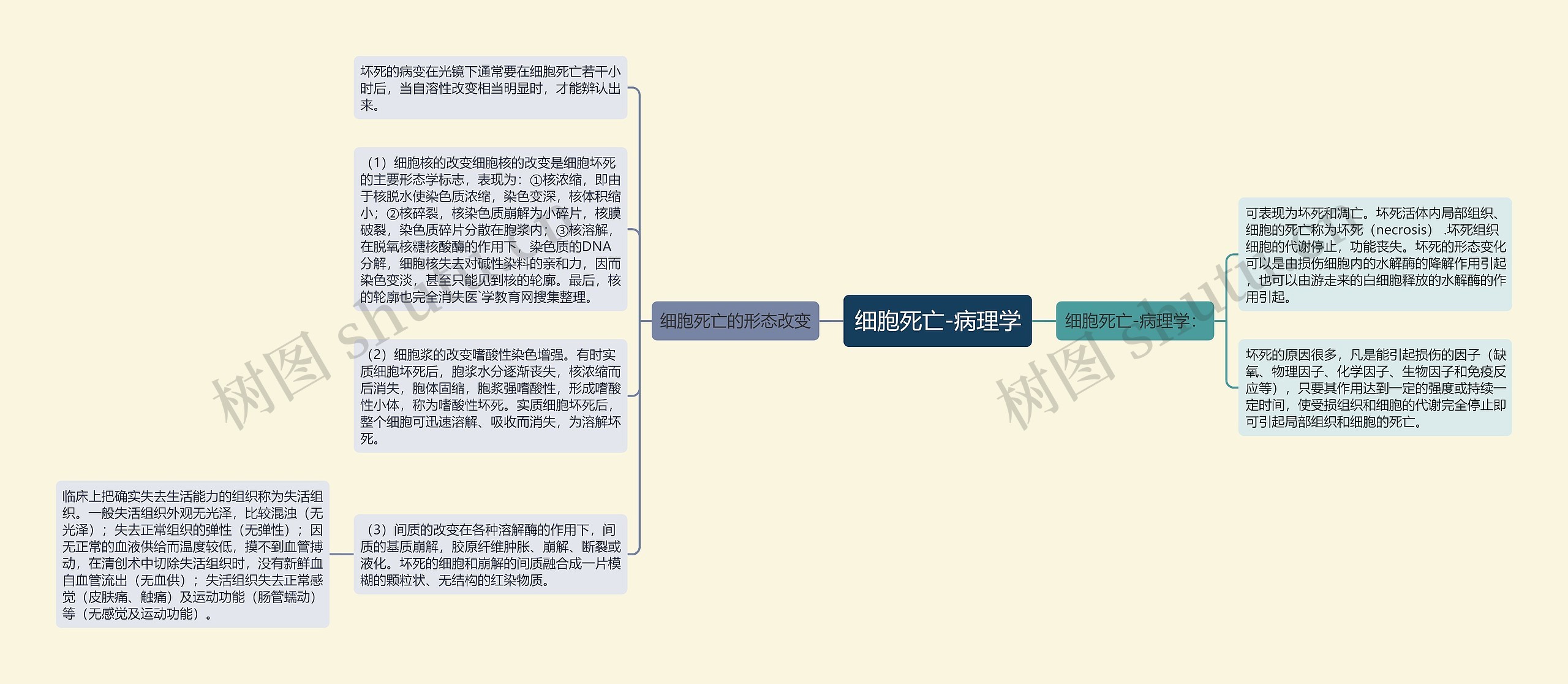 细胞死亡-病理学思维导图