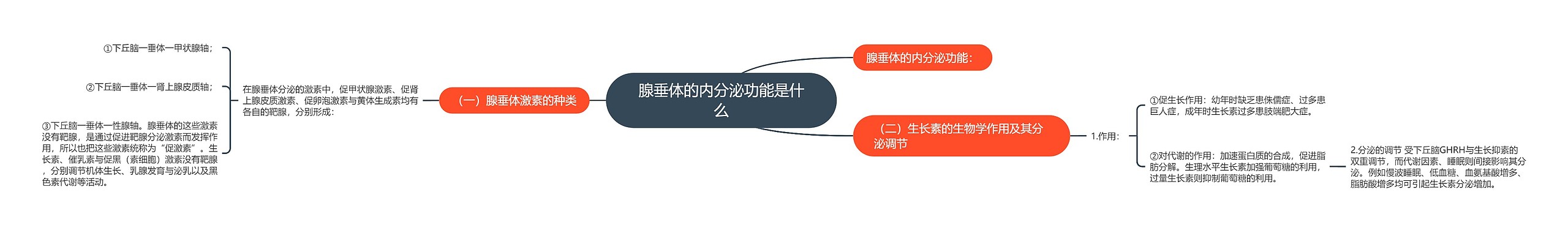 腺垂体的内分泌功能是什么