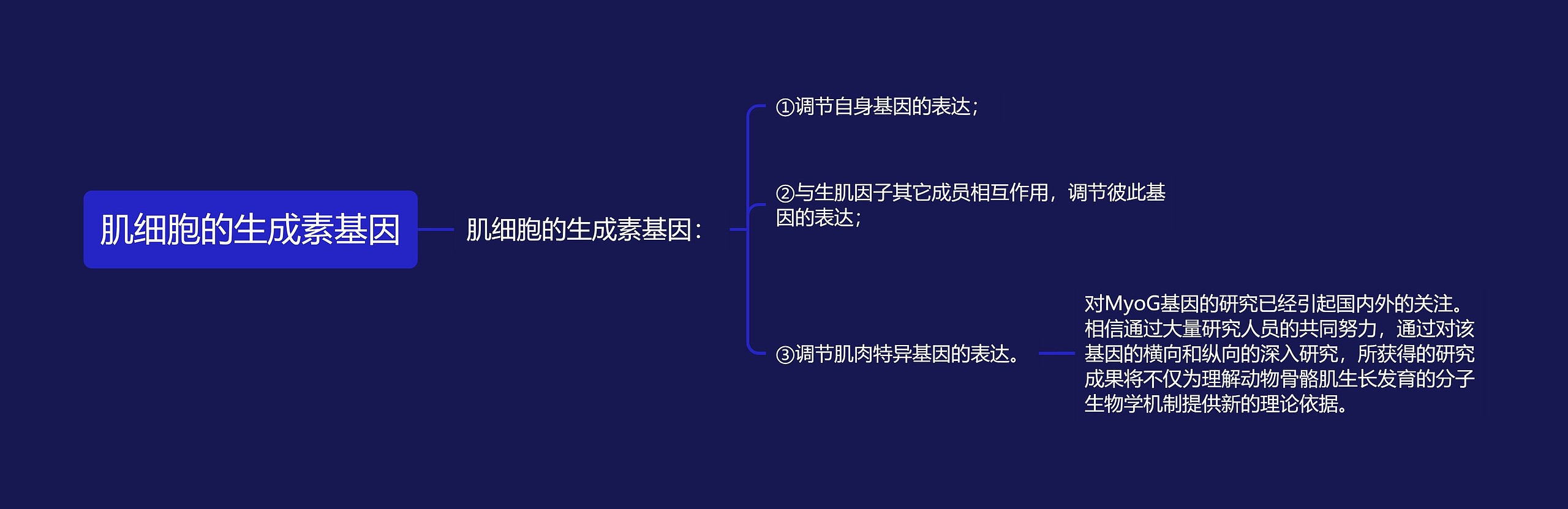 肌细胞的生成素基因