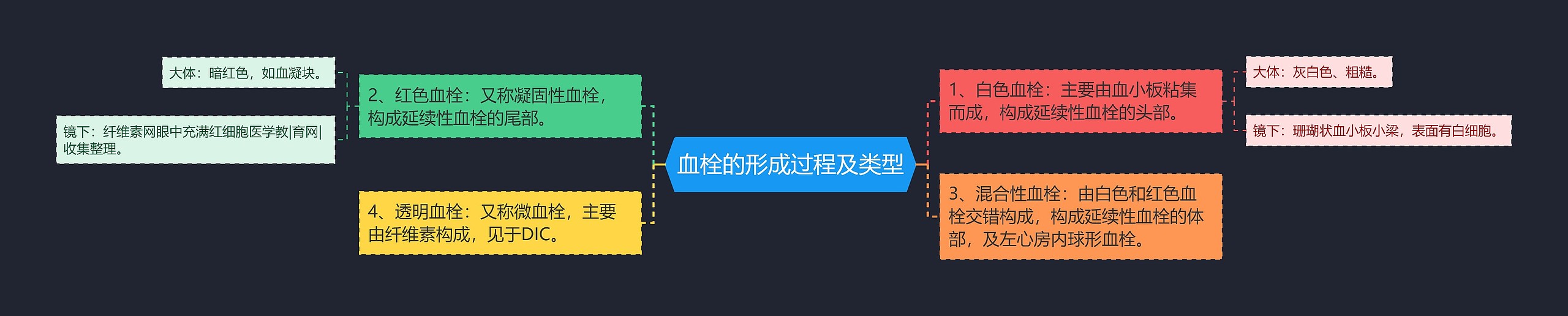 血栓的形成过程及类型思维导图