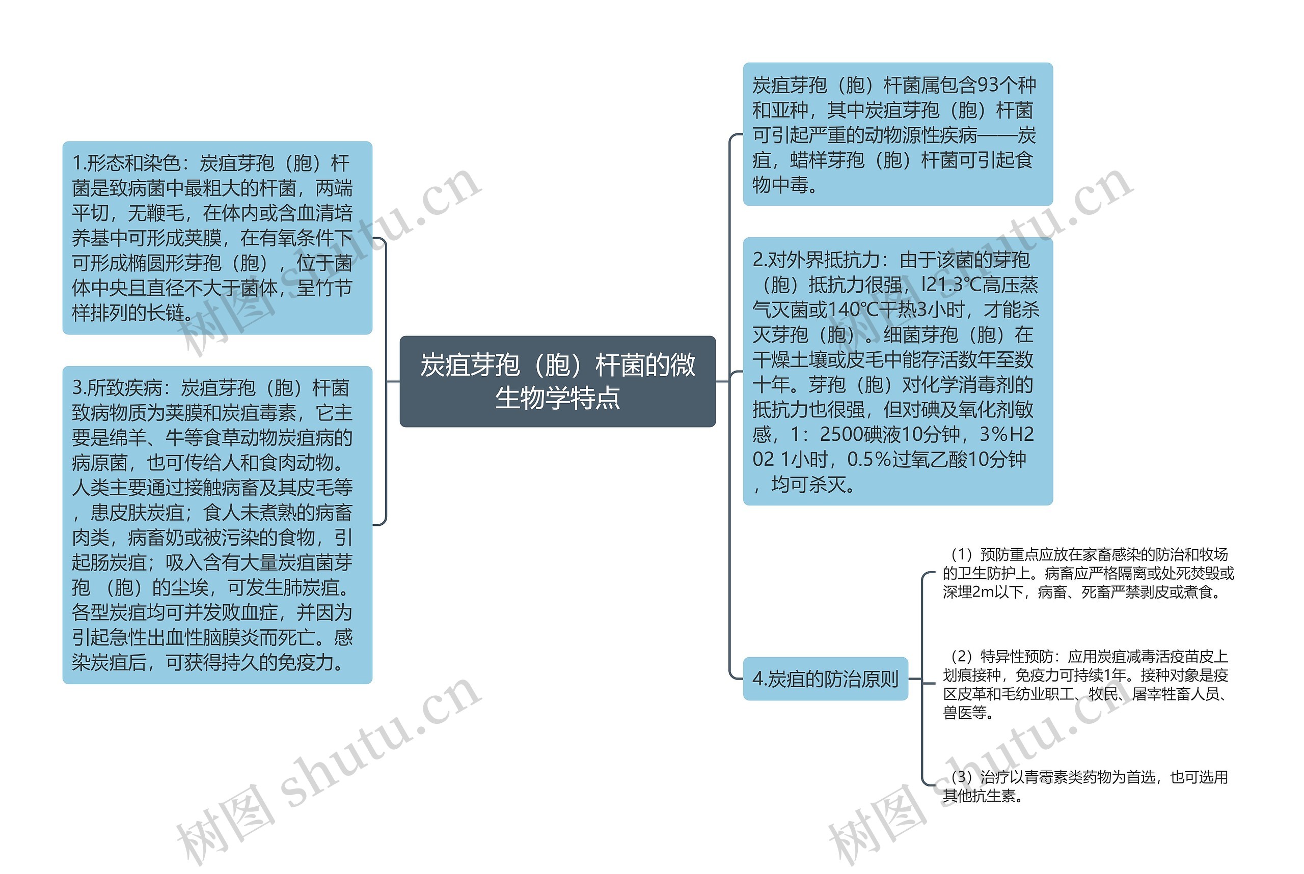 炭疽芽孢(胞)杆菌的微生物学特点思维导图高清图 炭疽芽孢(胞)杆菌的微生物学特点思维导图