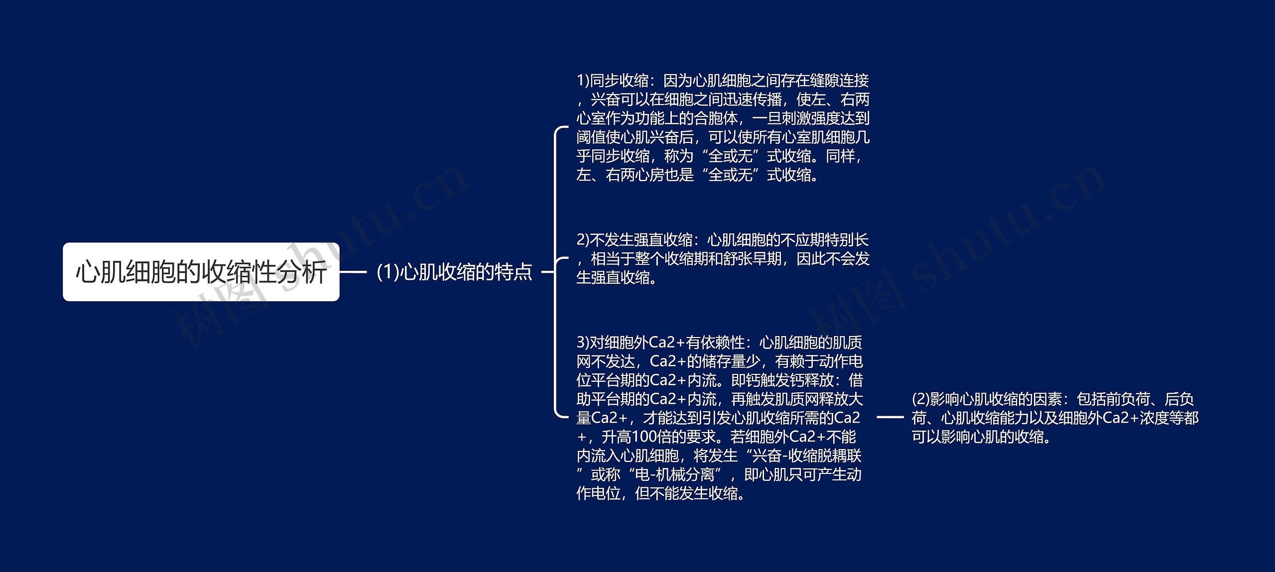 心肌细胞的收缩性分析