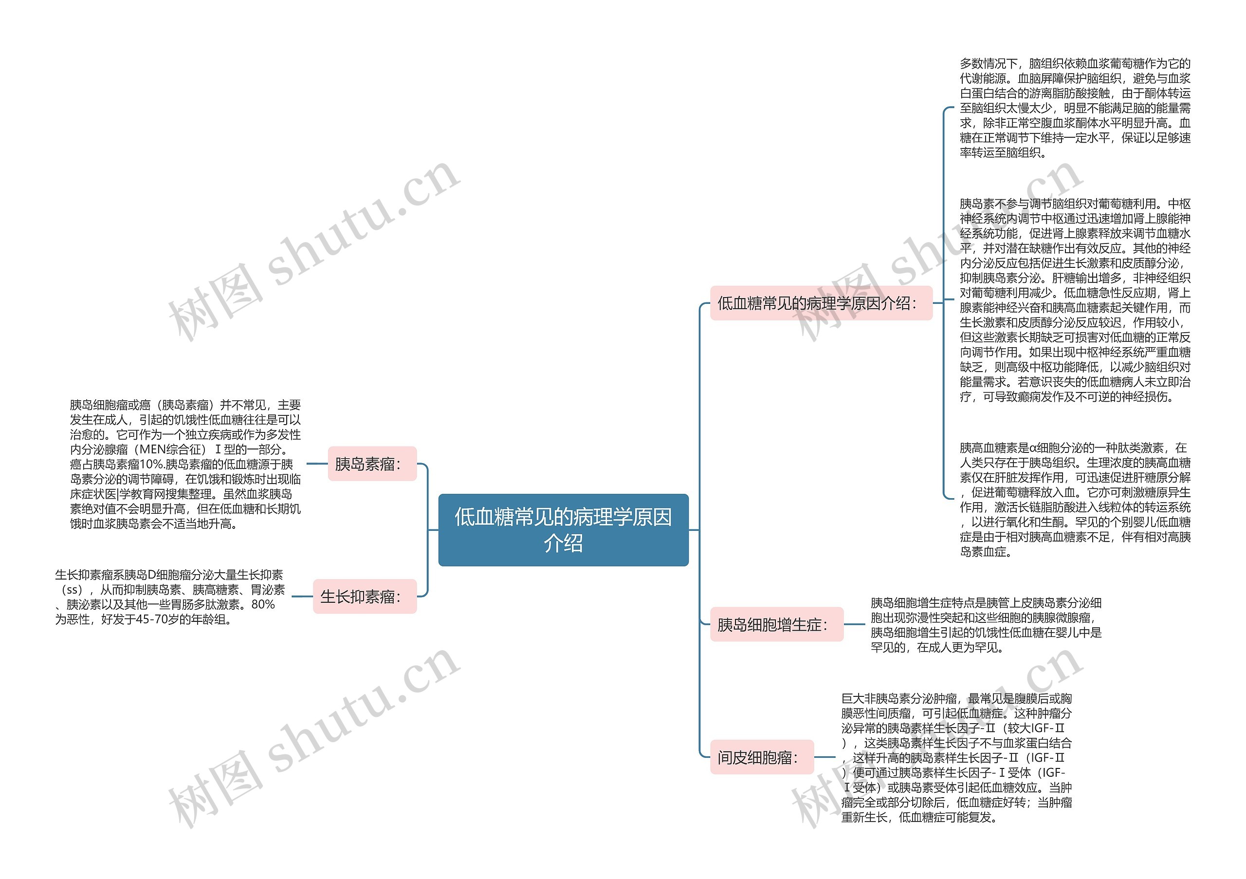 低血糖常见的病理学原因介绍思维导图