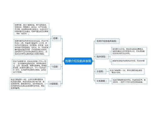 伤寒介绍及临床表现