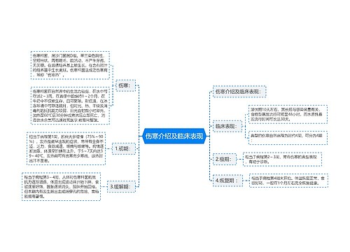 伤寒介绍及临床表现