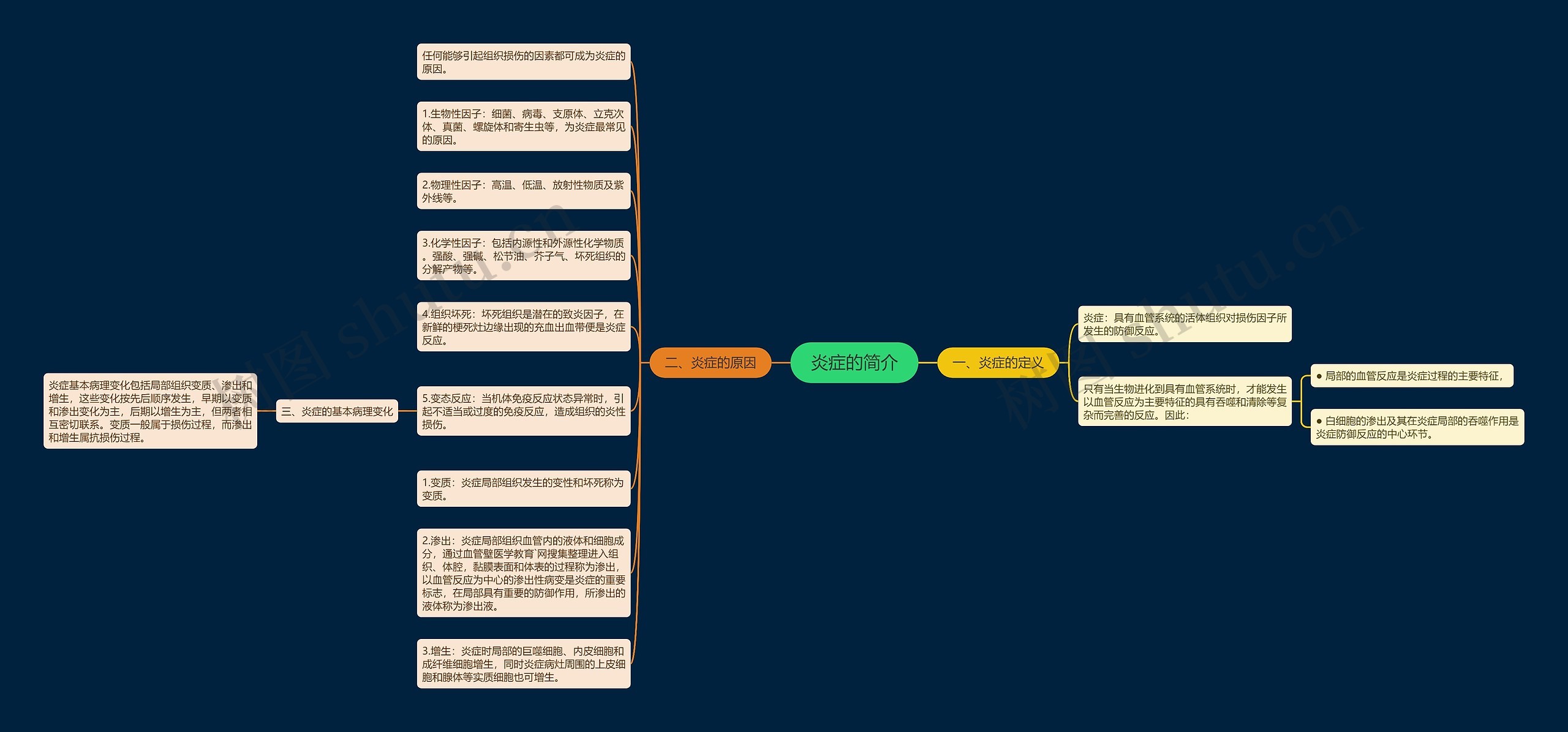 炎症的简介思维导图