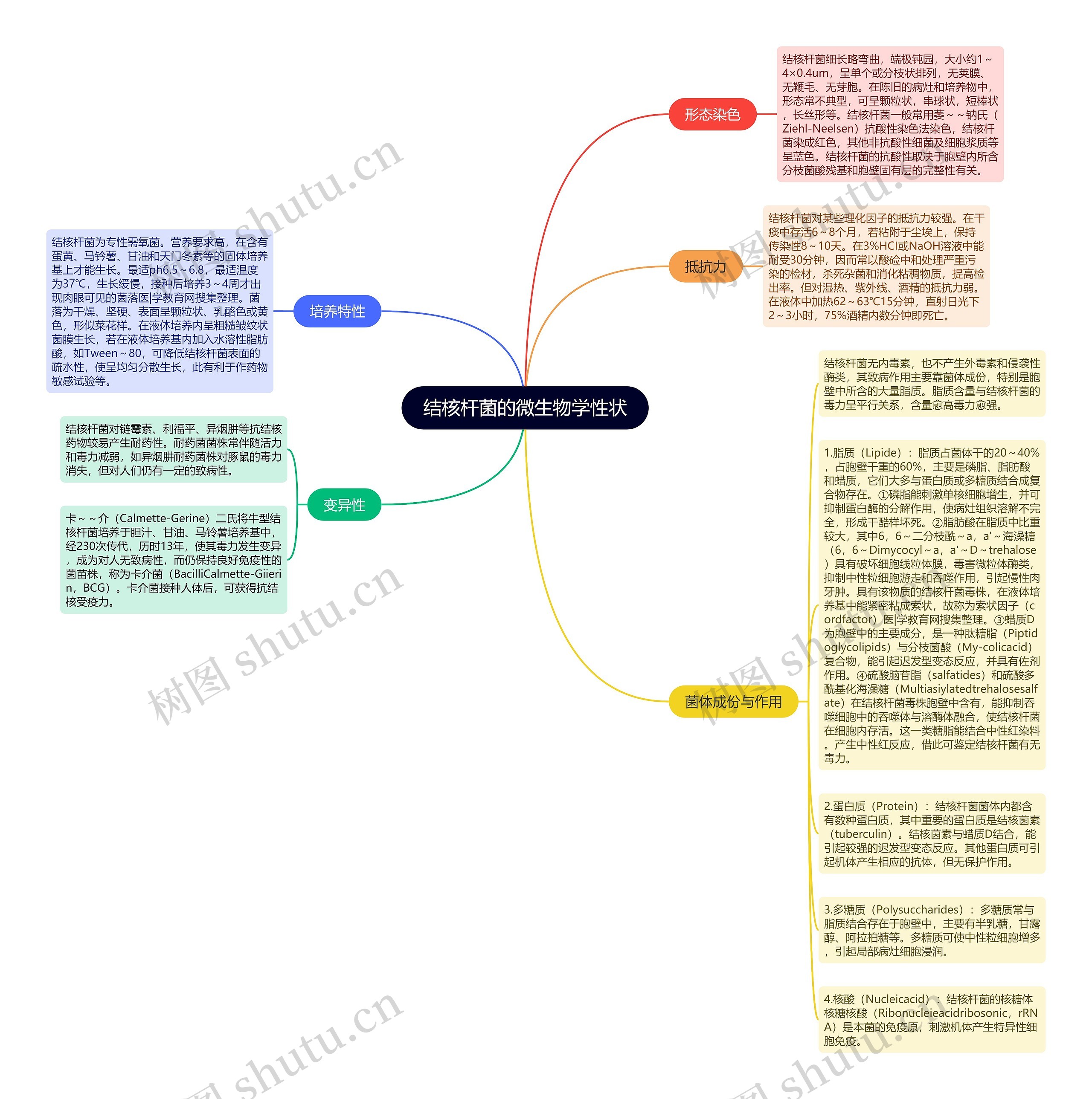 结核杆菌的微生物学性状思维导图