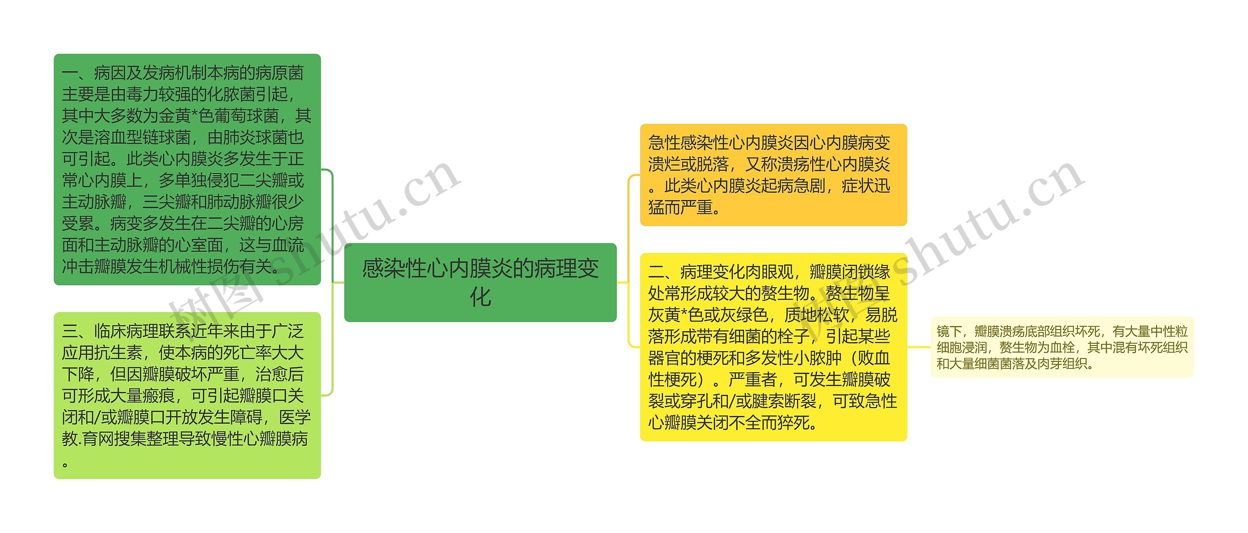 感染性心内膜炎的病理变化思维导图