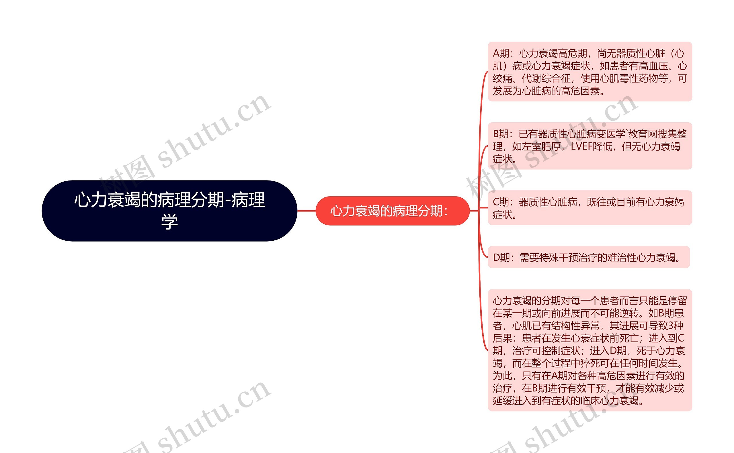 心力衰竭的病理分期-病理学