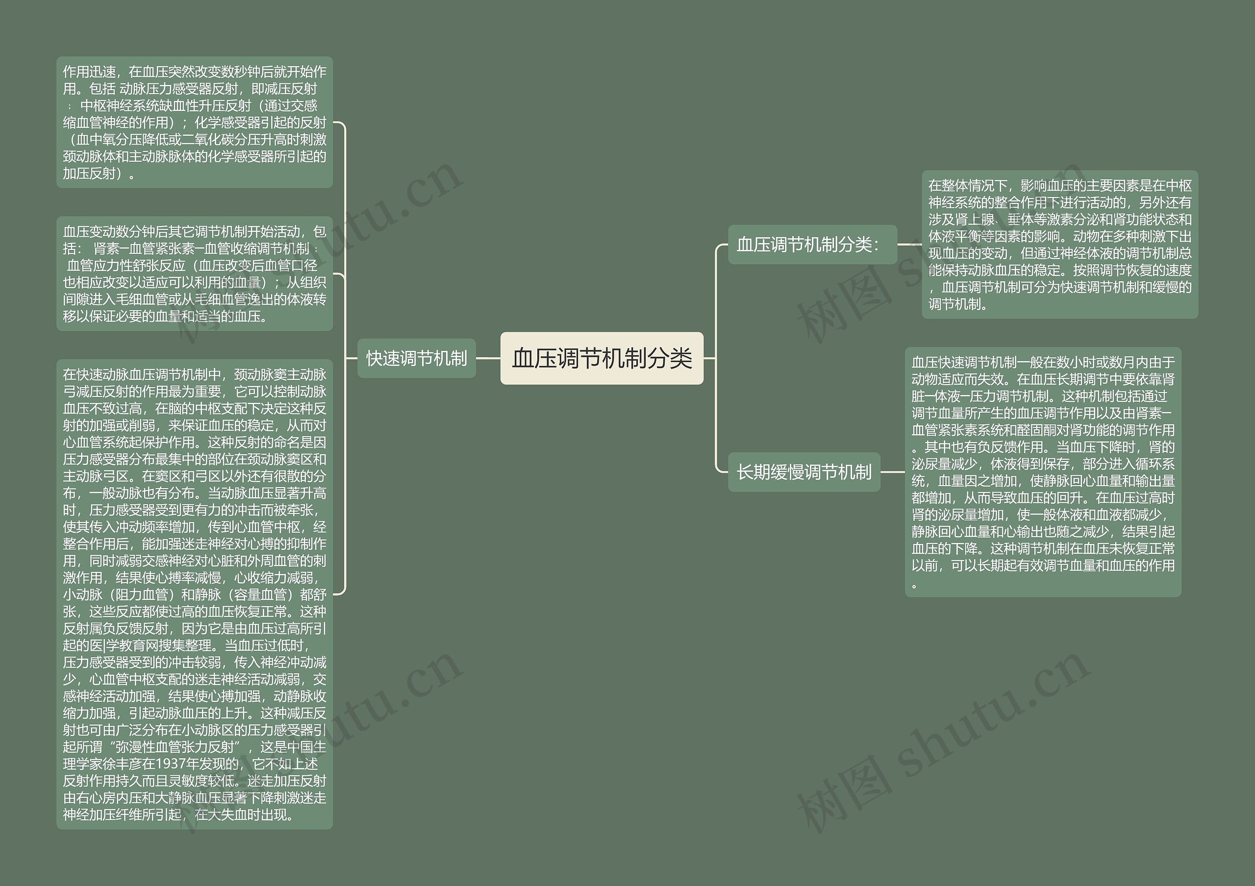 血压调节机制分类