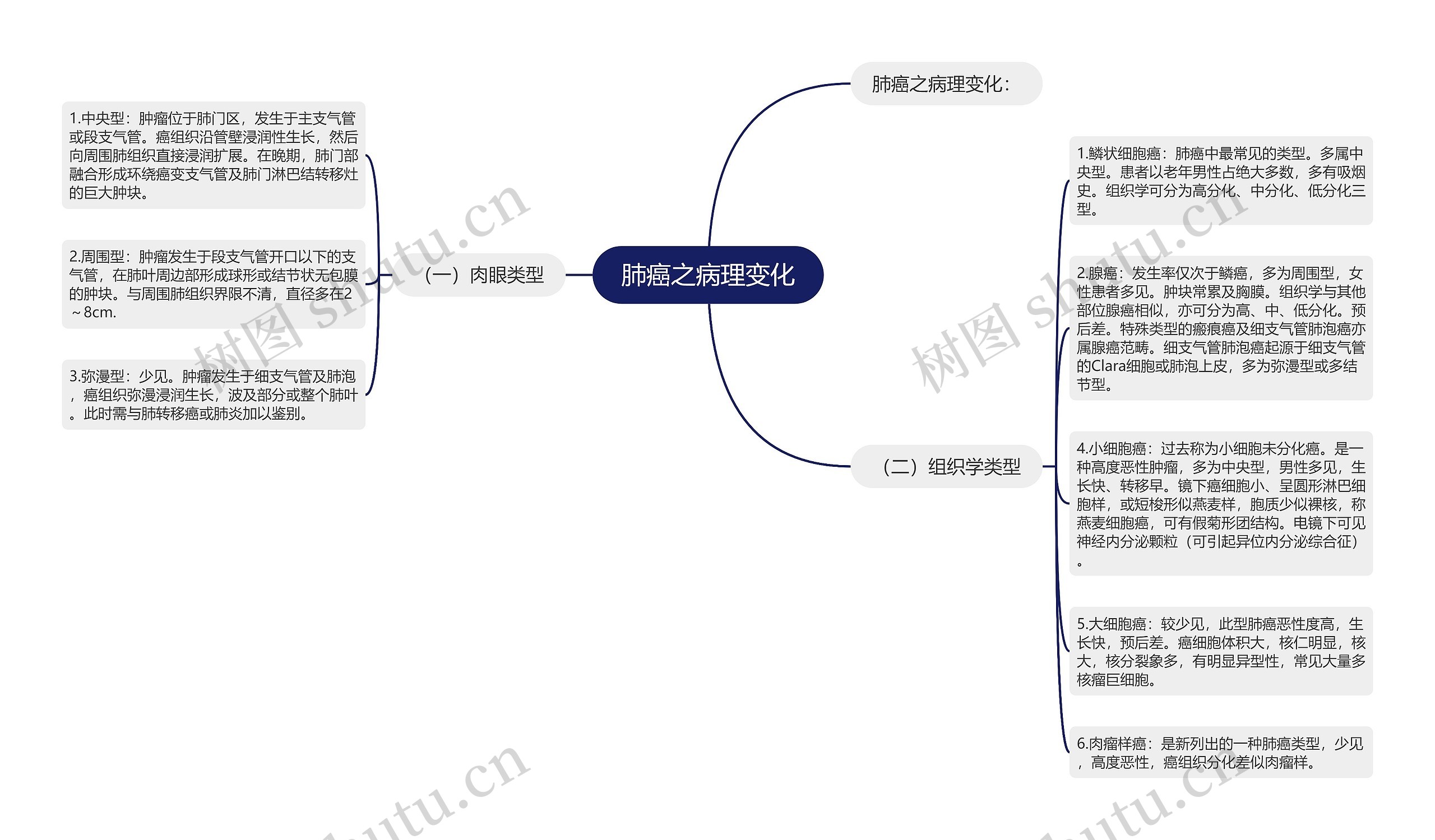 肺癌之病理变化思维导图