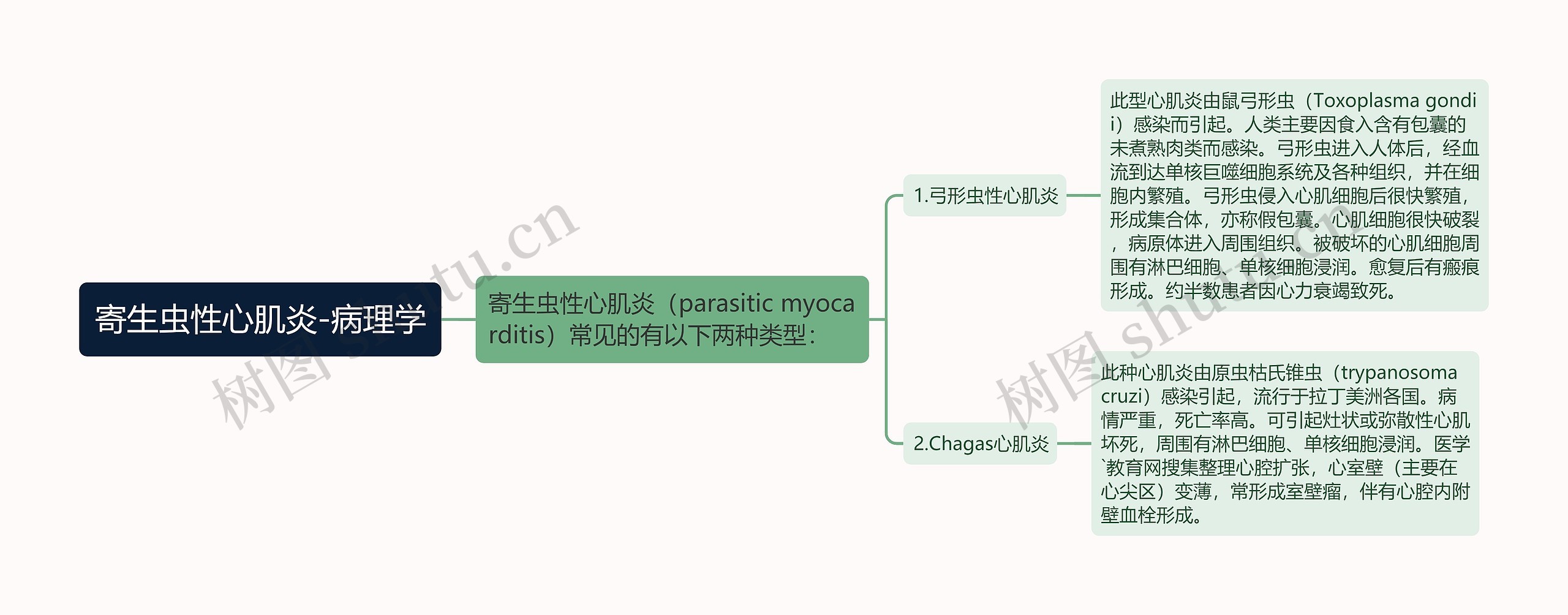 寄生虫性心肌炎-病理学思维导图