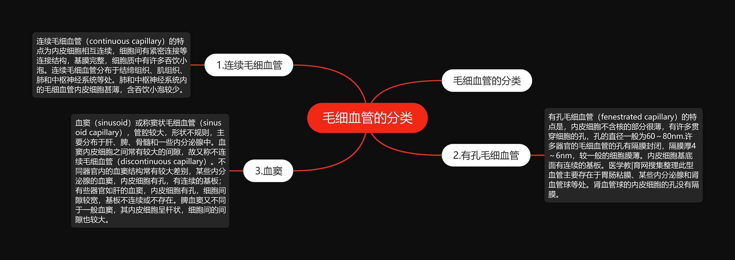 毛细血管的分类