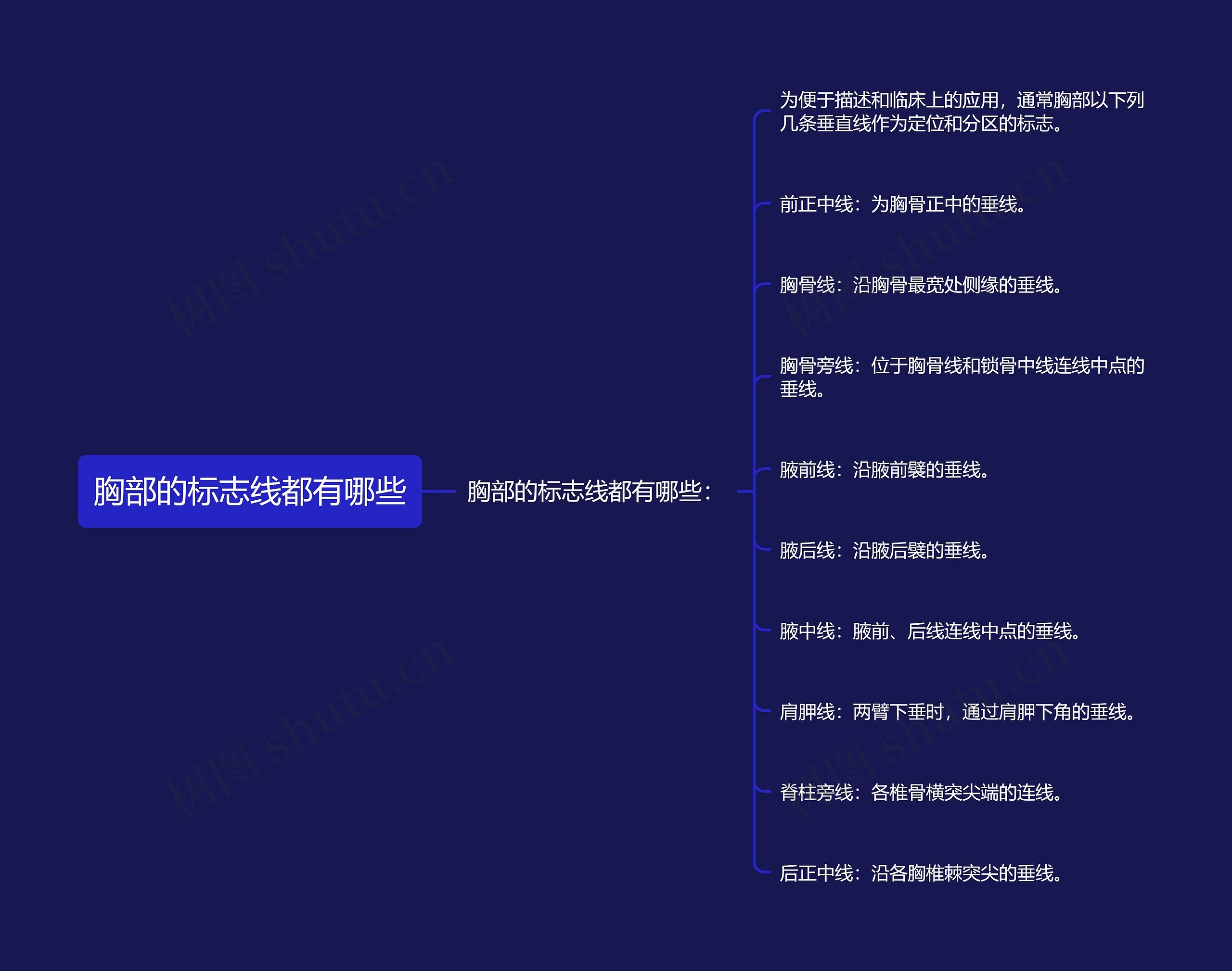胸部的标志线都有哪些思维导图