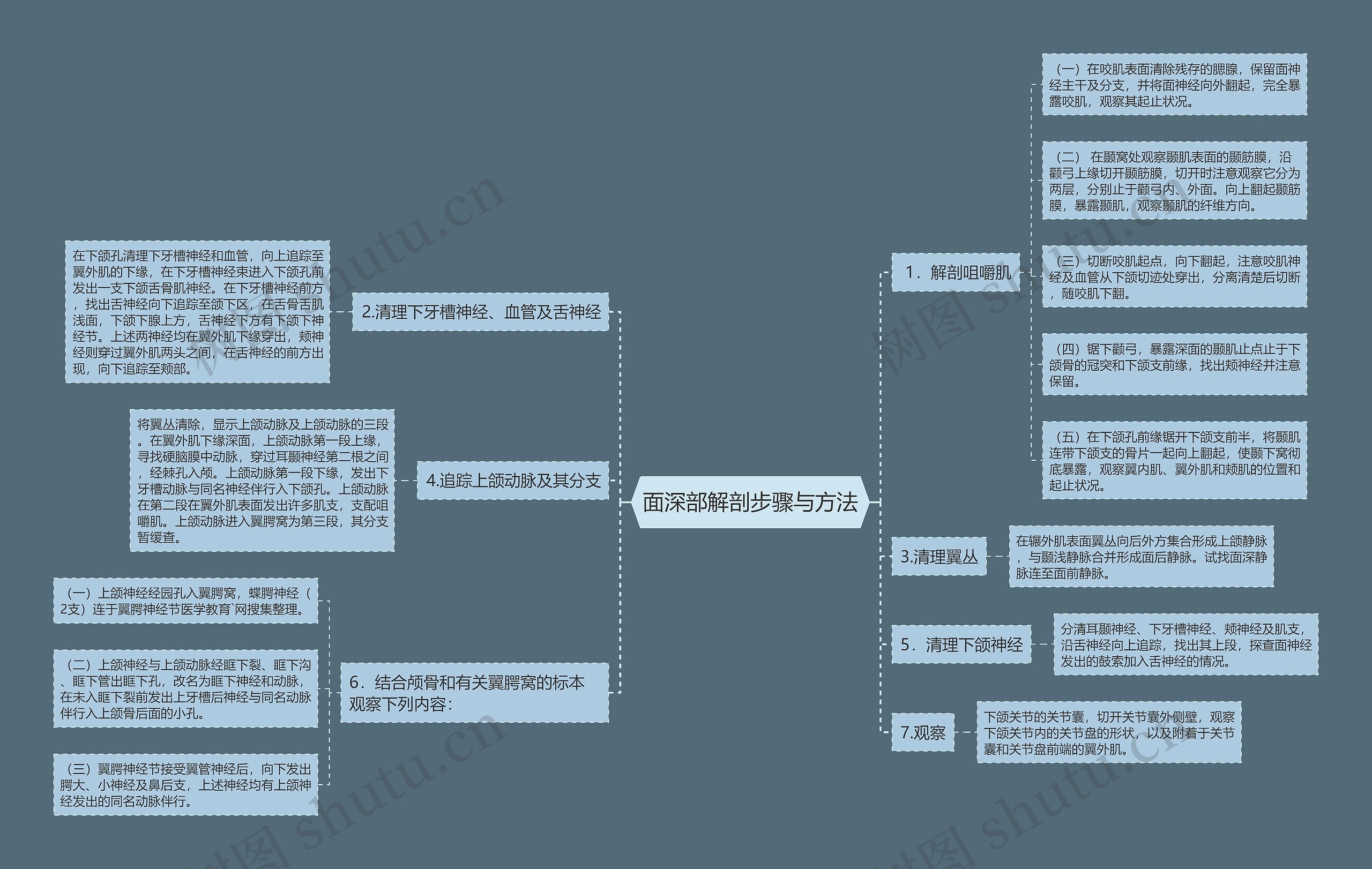 面深部解剖步骤与方法思维导图