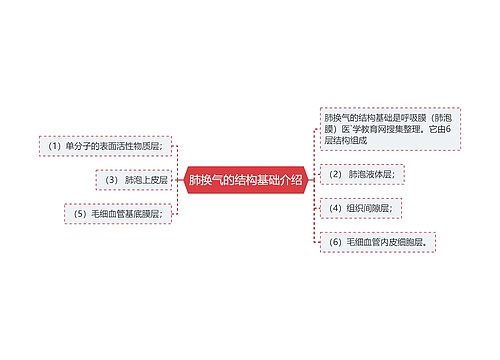 肺换气的结构基础介绍