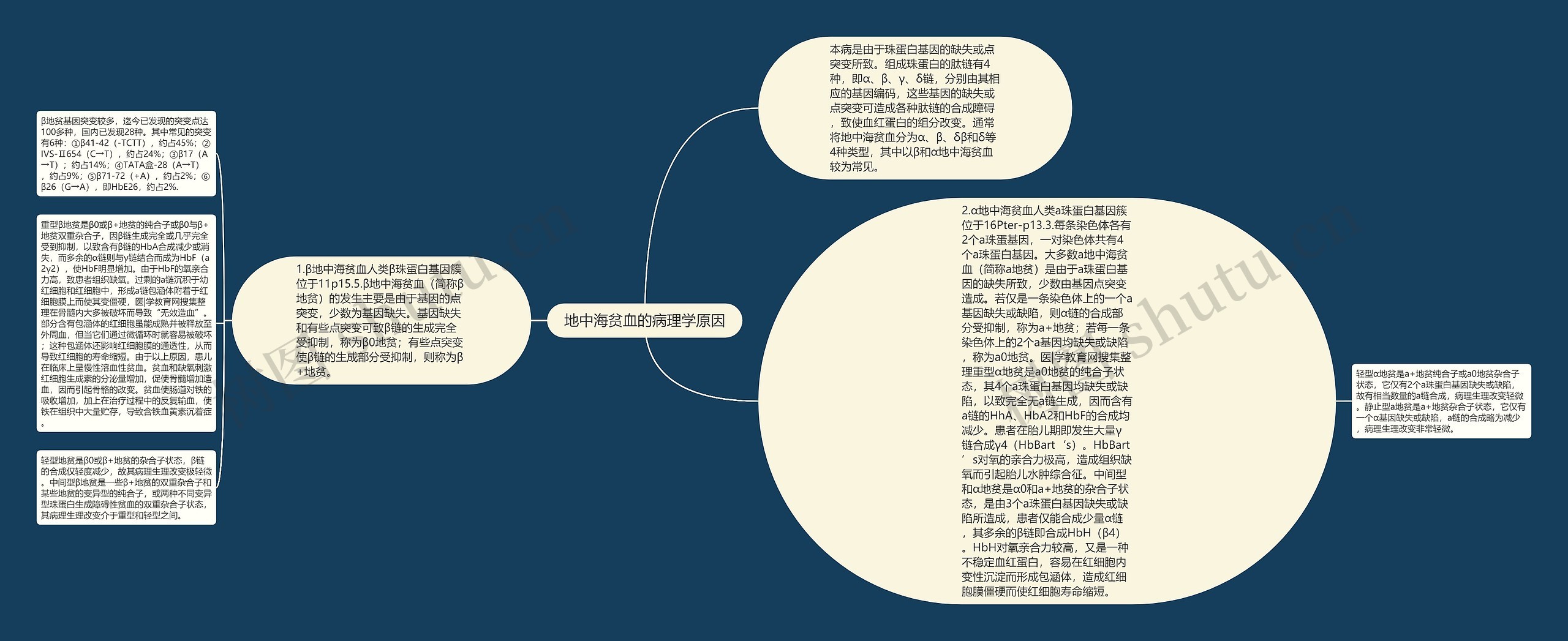 地中海贫血的病理学原因思维导图