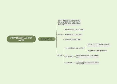 大脑联合皮质与认知-解剖学指导