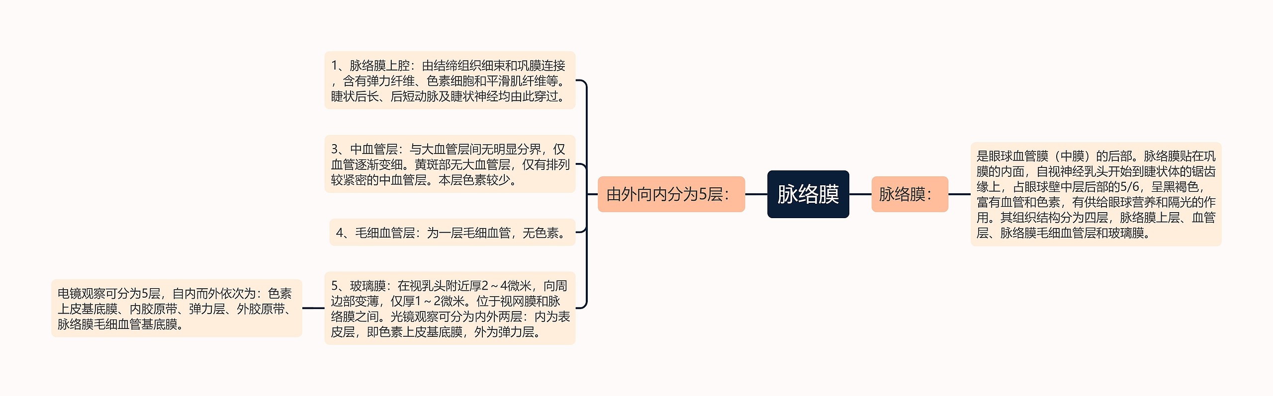 脉络膜思维导图