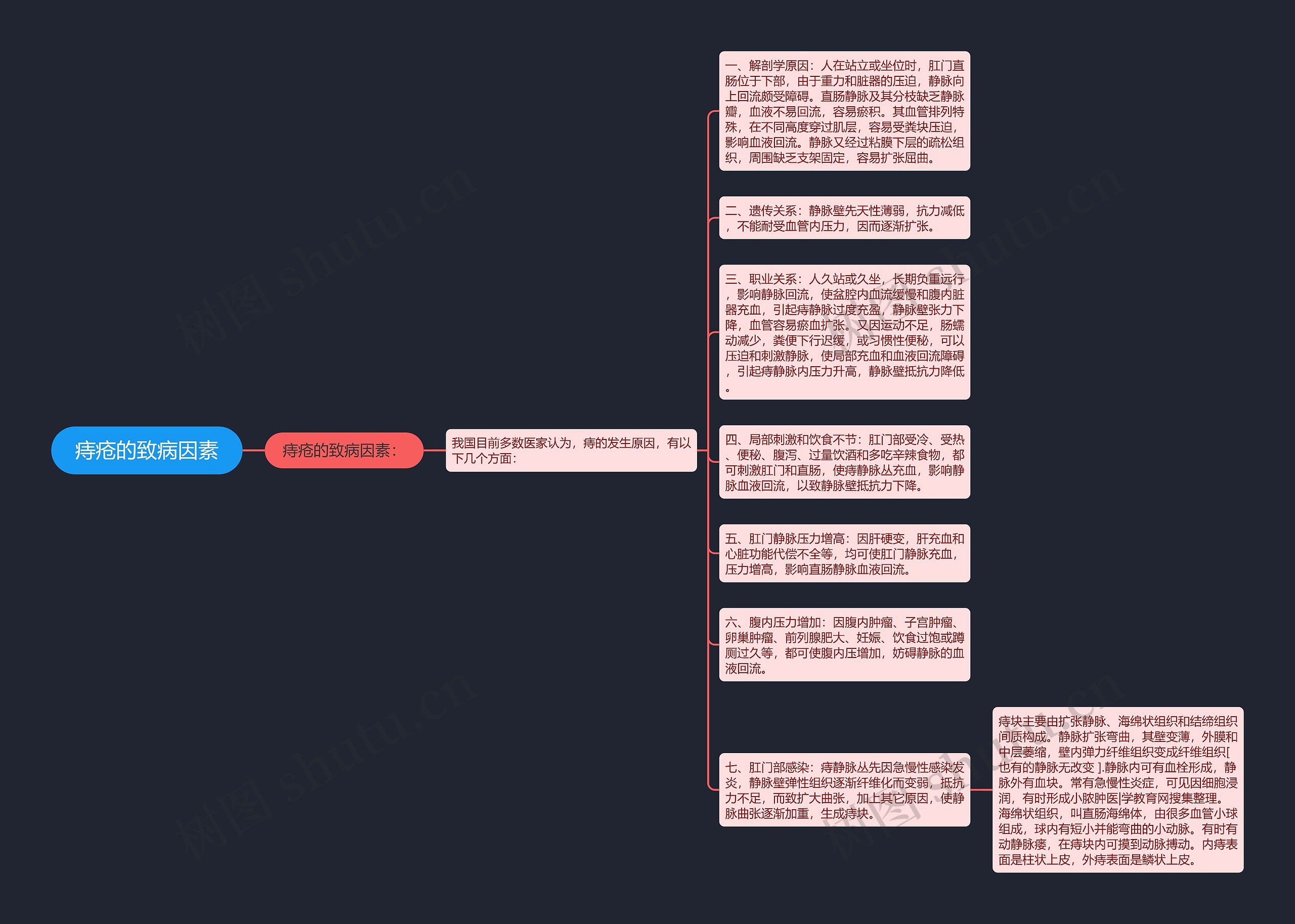 痔疮的致病因素思维导图
