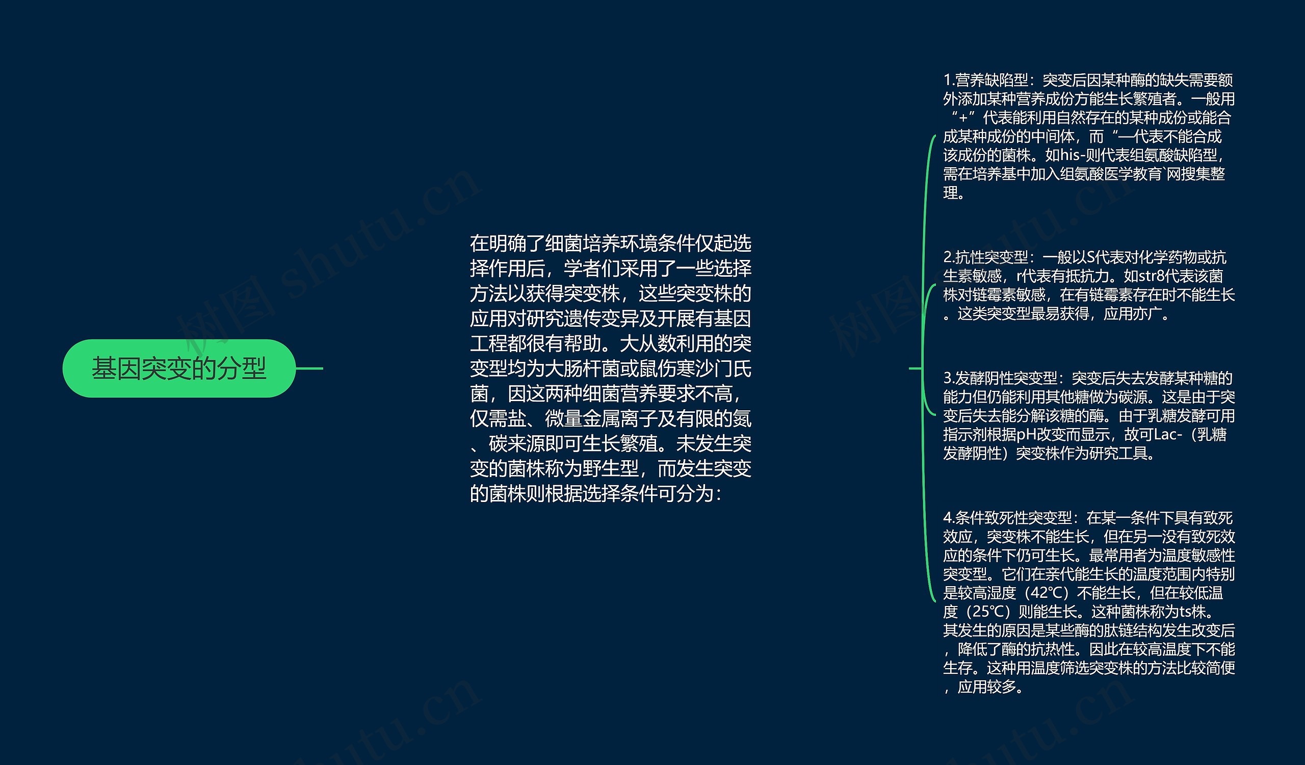 基因突变的分型思维导图