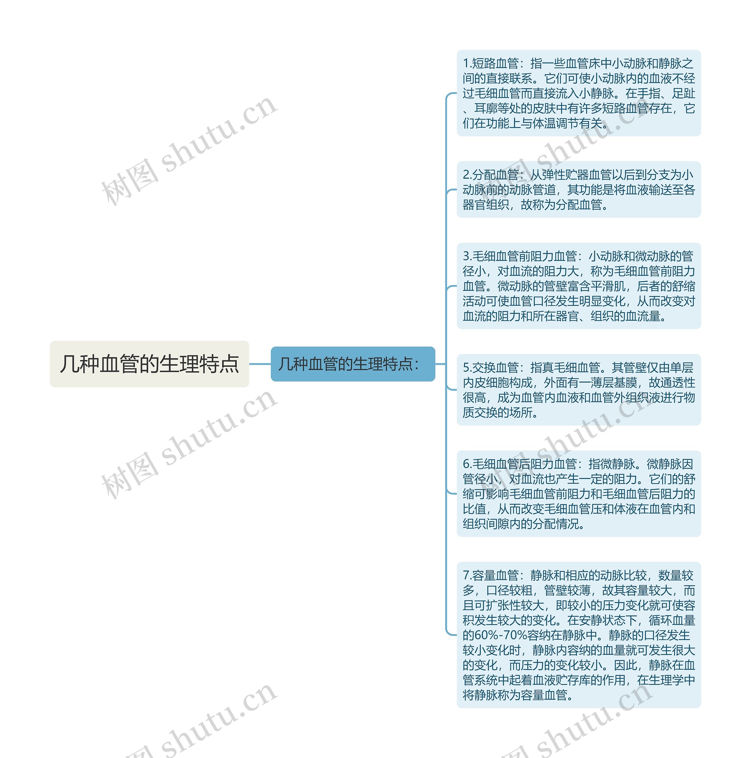 几种血管的生理特点思维导图