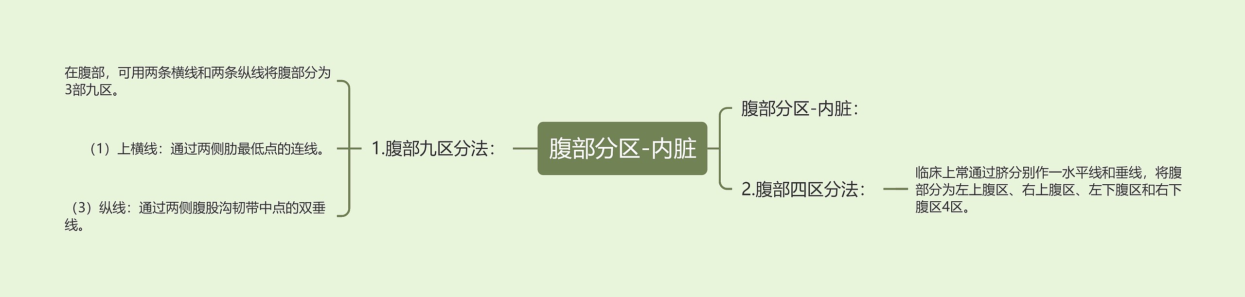 腹部分区-内脏 腹部分区-内脏