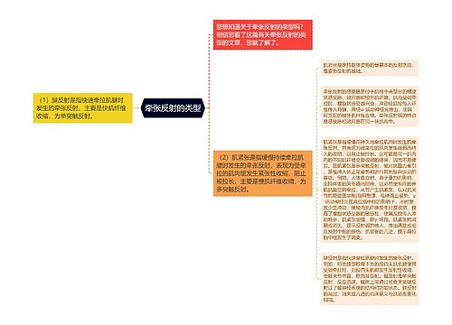 牵张反射的类型