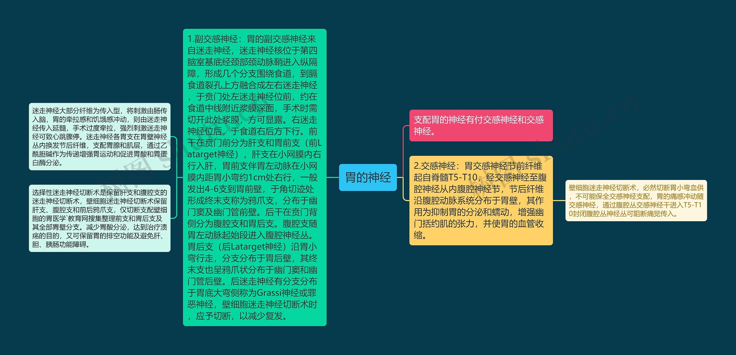 胃的神经 胃的神经