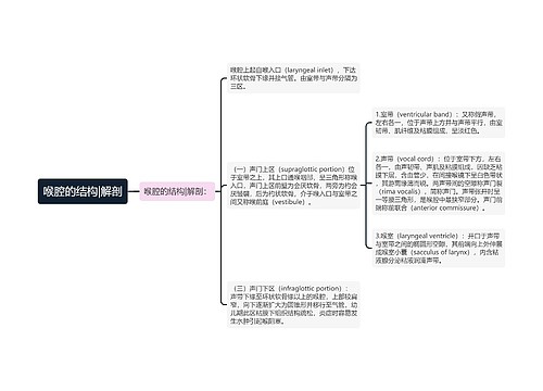 喉腔的结构|解剖