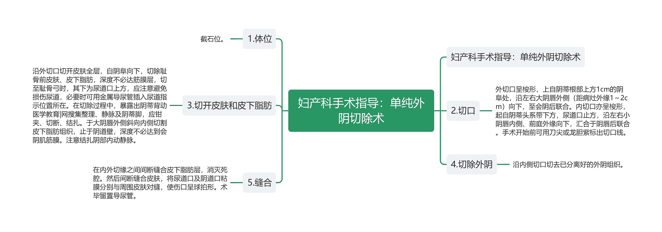 妇产科手术指导：单纯外阴切除术思维导图