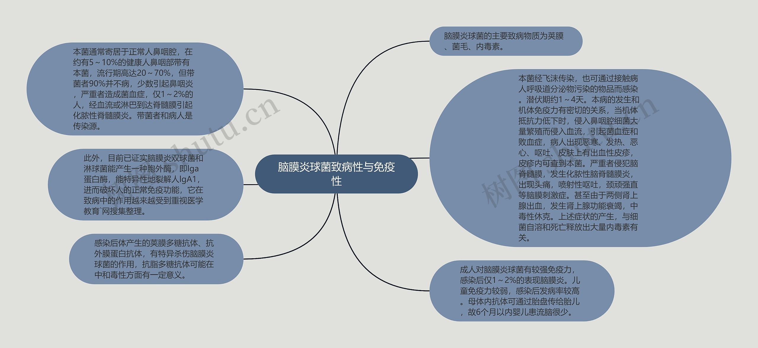 脑膜炎球菌致病性与免疫性思维导图