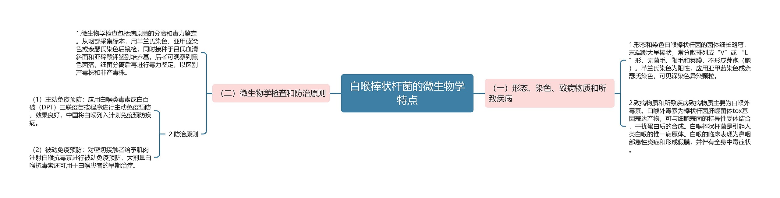 白喉棒状杆菌的微生物学特点思维导图