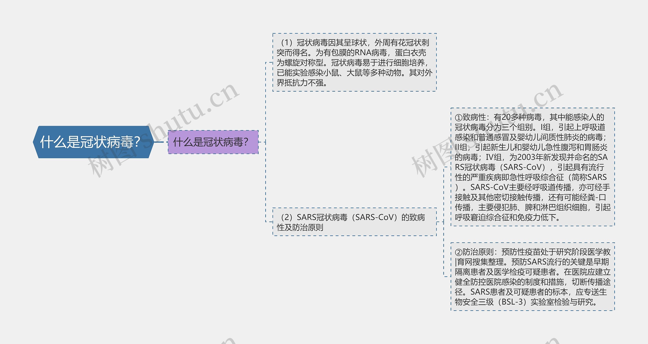 什么是冠状病毒? 什么是冠状病毒?