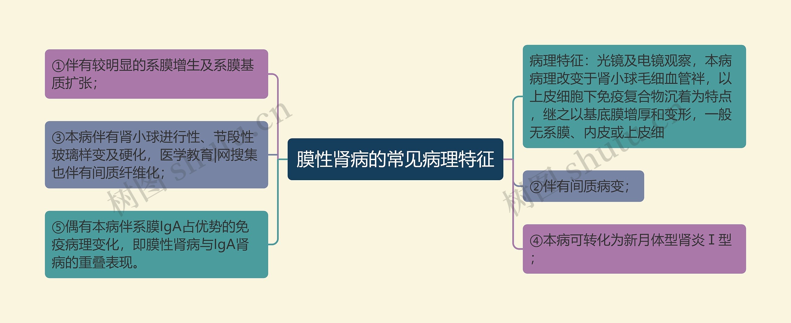 膜性肾病的常见病理特征 膜性肾病的常见病理特征