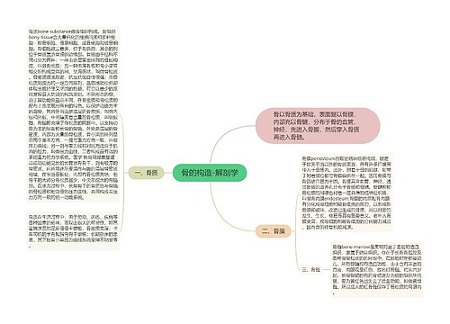 骨的构造-解剖学