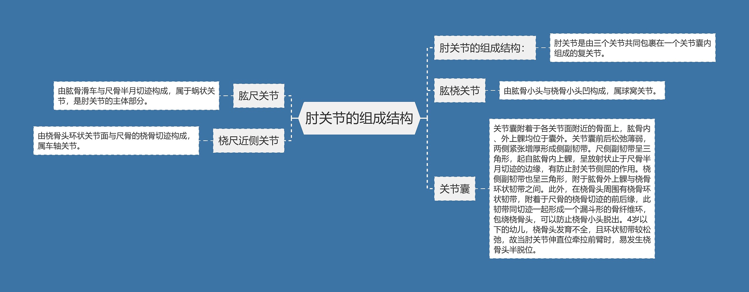 肘关节的组成结构思维导图