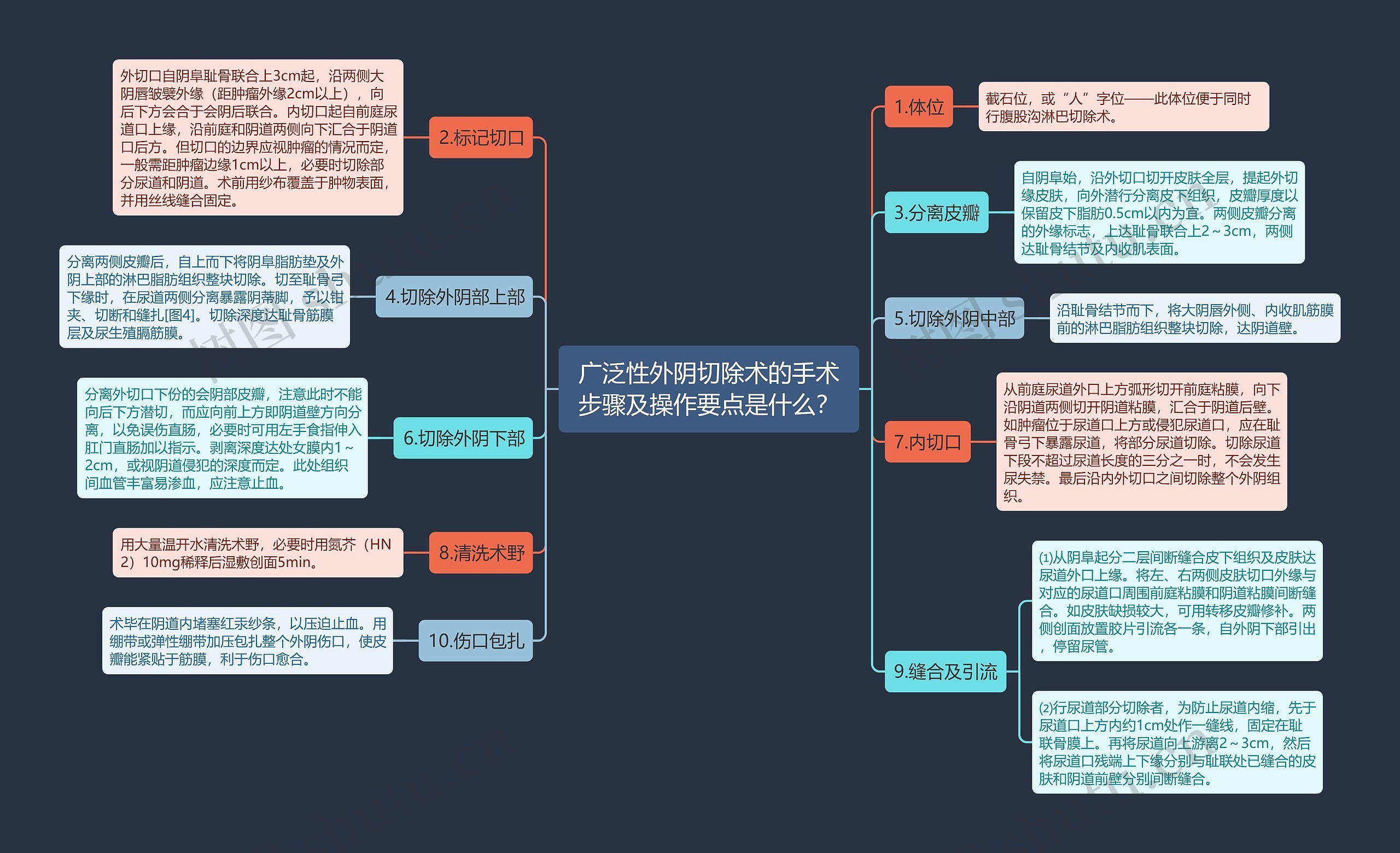 广泛性外阴切除术的手术步骤及操作要点是什么？思维导图