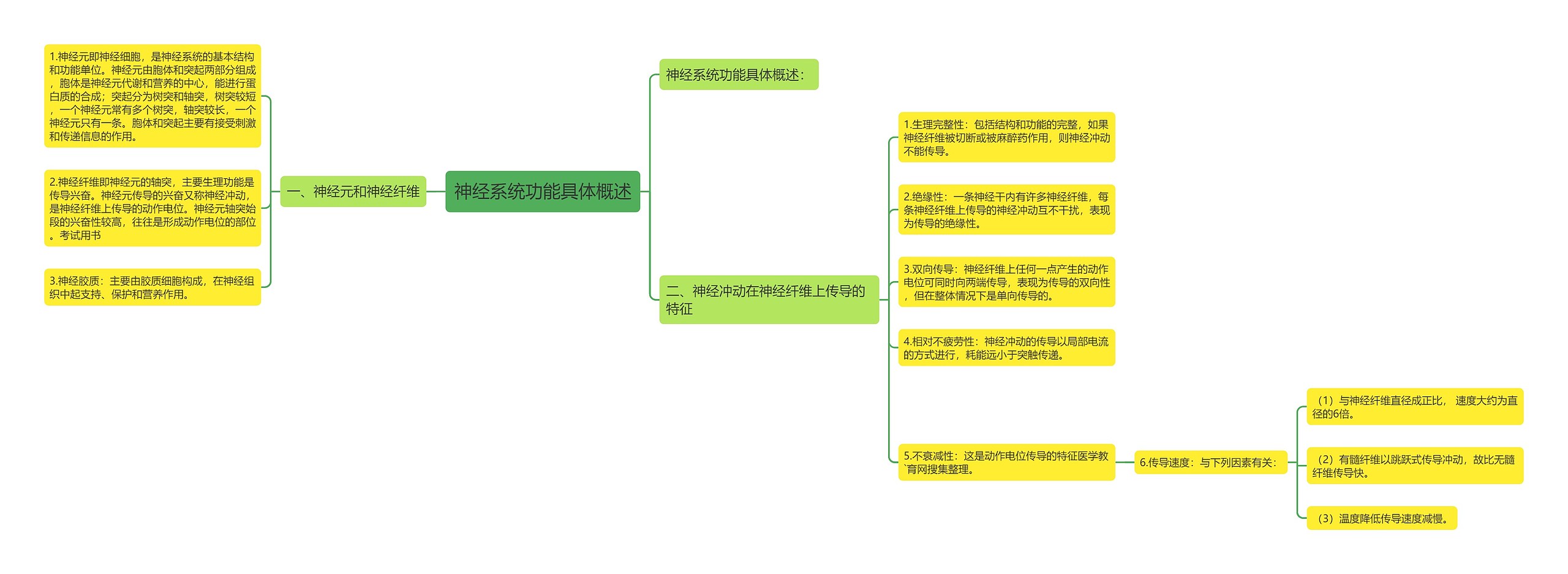 神经系统功能具体概述