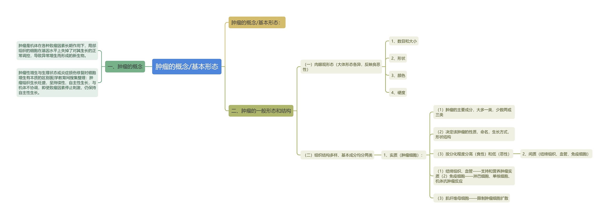 肿瘤的概念/基本形态思维导图