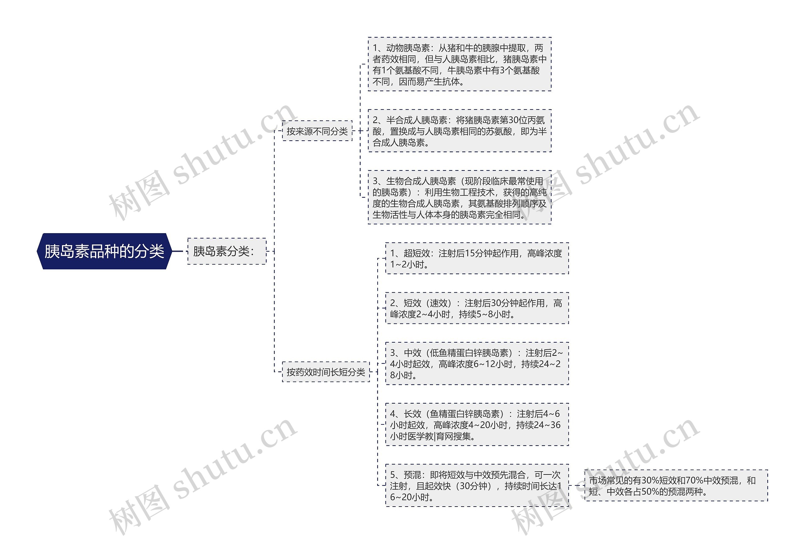 胰岛素品种的分类思维导图