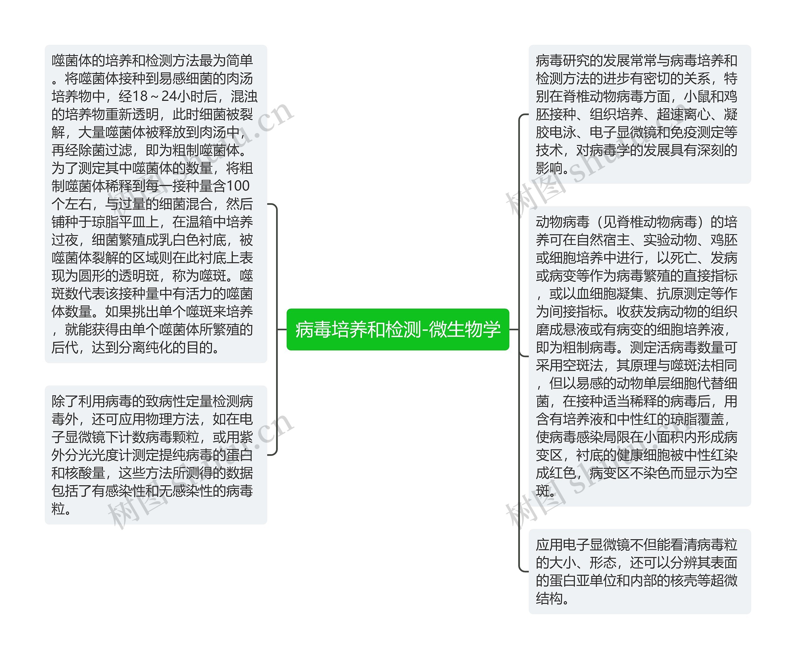 病毒培养和检测-微生物学