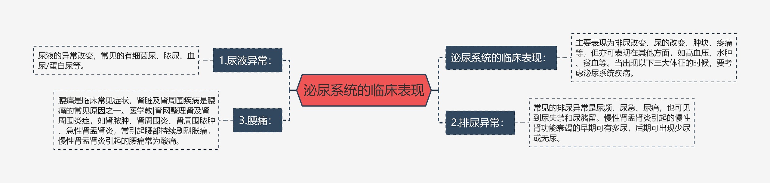 泌尿系统的临床表现思维导图