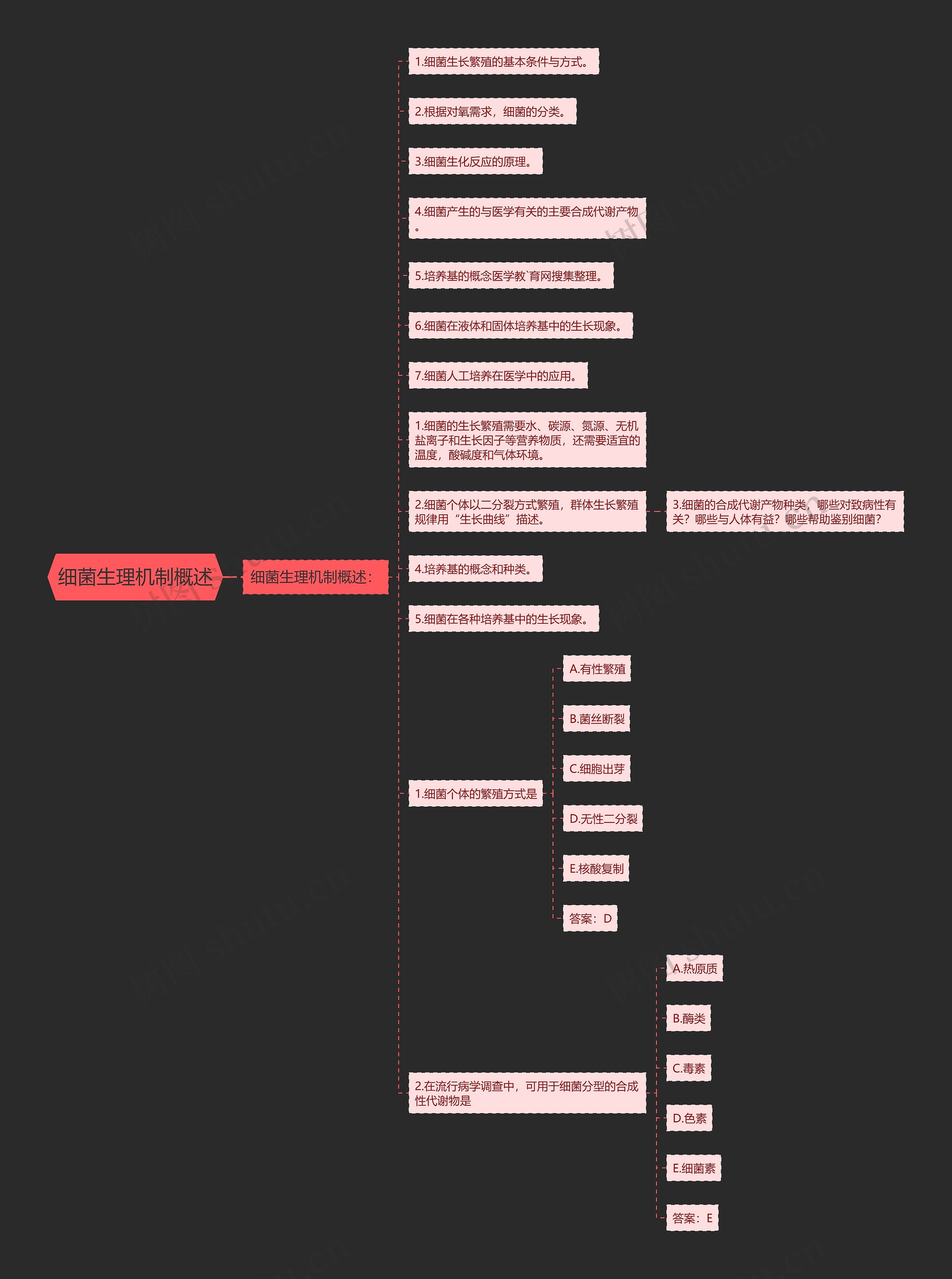 细菌生理机制概述思维导图