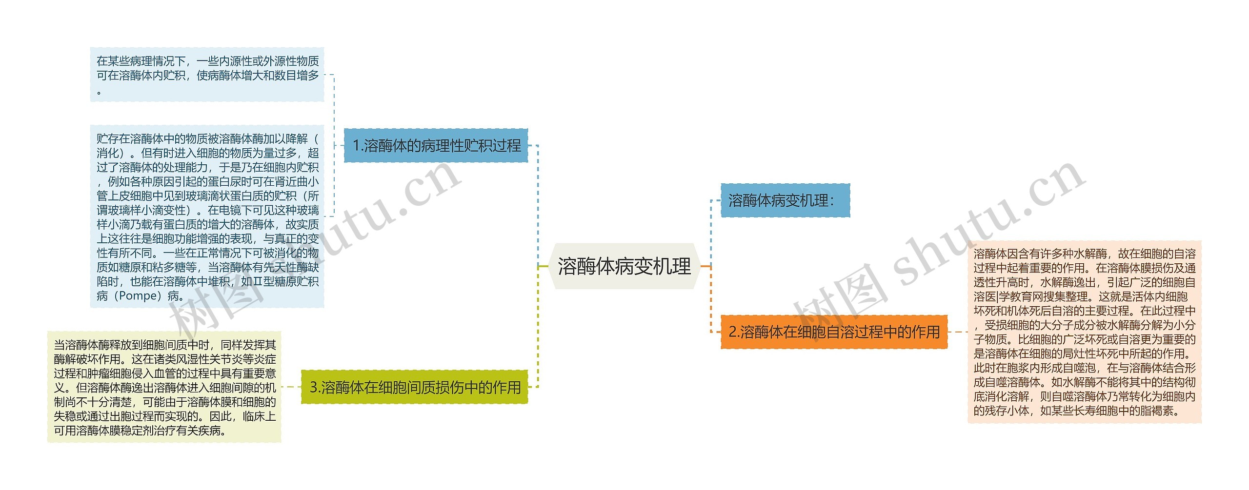 溶酶体病变机理思维导图