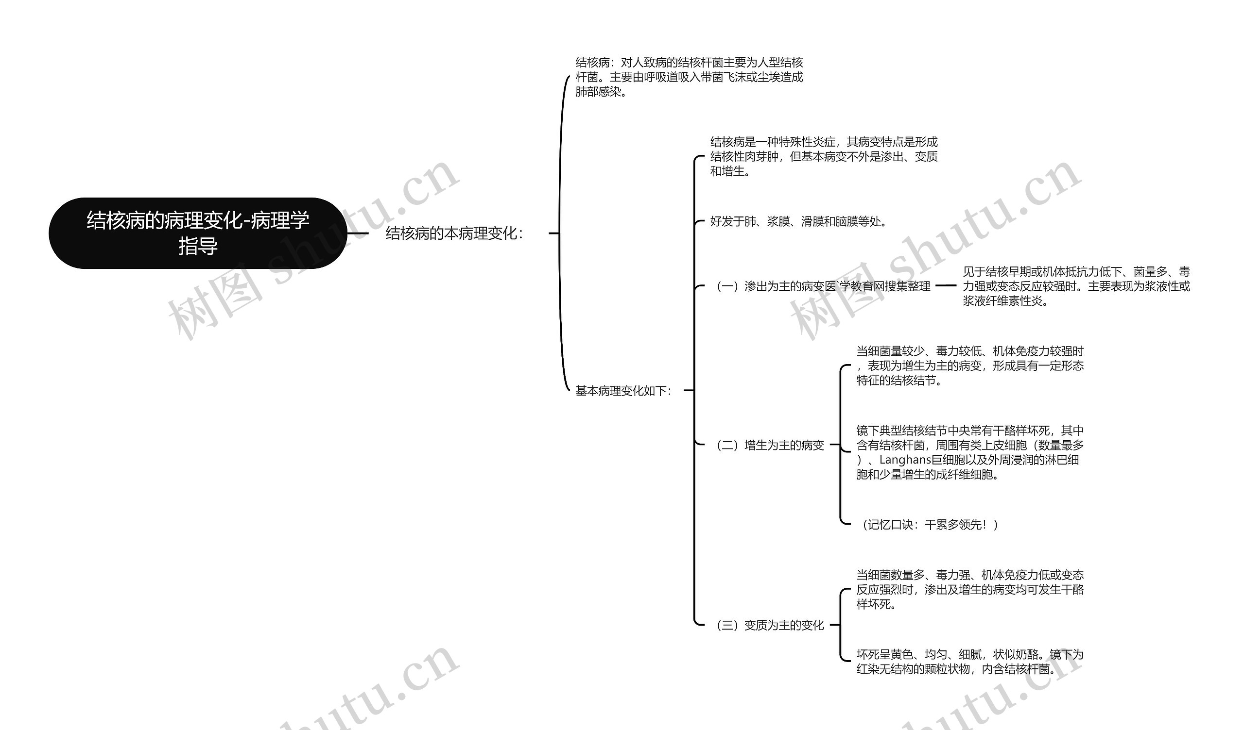 结核病的病理变化-病理学指导