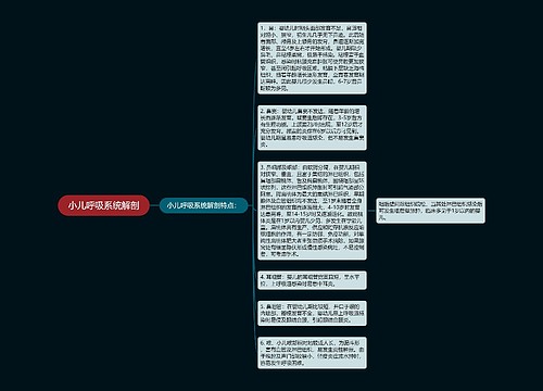 小儿呼吸系统解剖